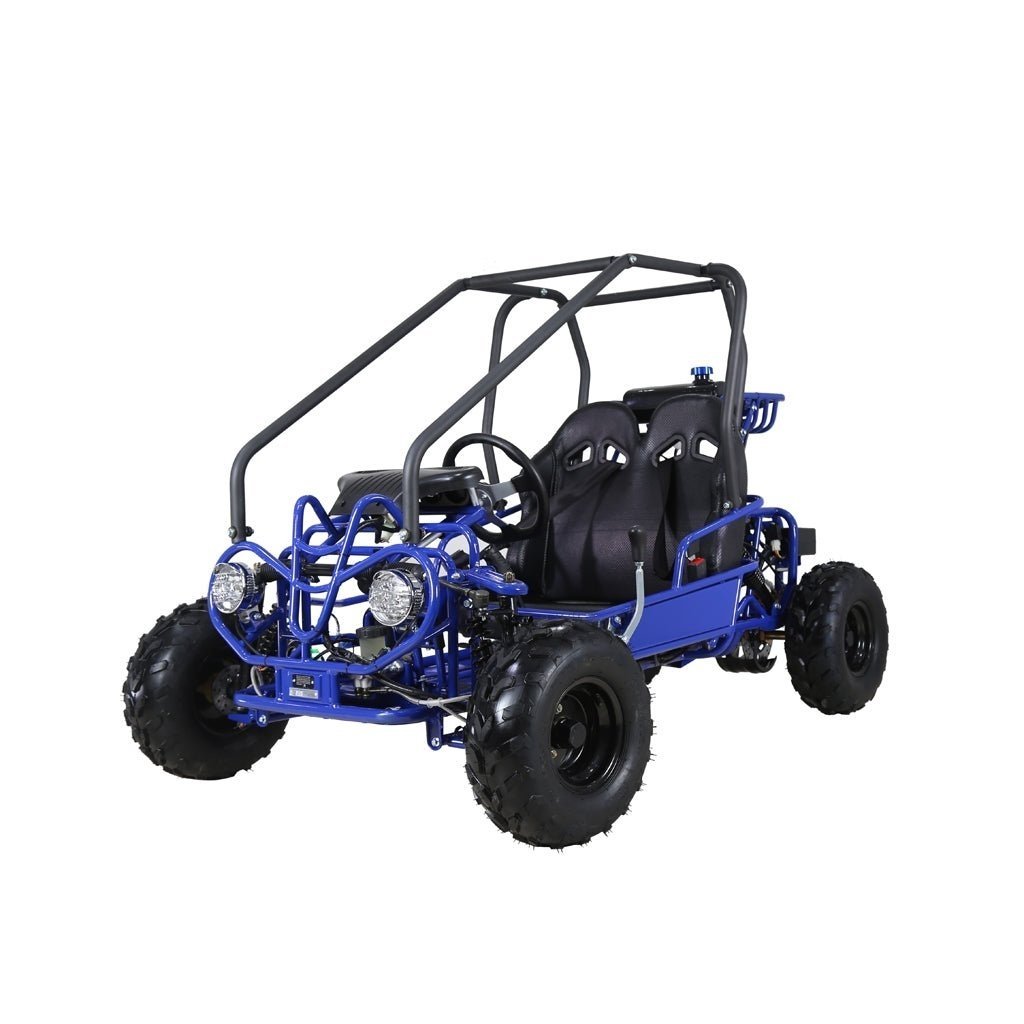 Taotao GK110 Kids Gas Go Kart Dune Buggy - Image 2