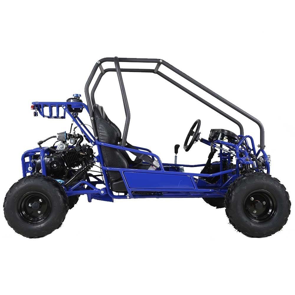 Taotao GK110 Kids Gas Go Kart Dune Buggy - Image 3